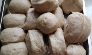 西门子蒸箱 西门子蒸箱